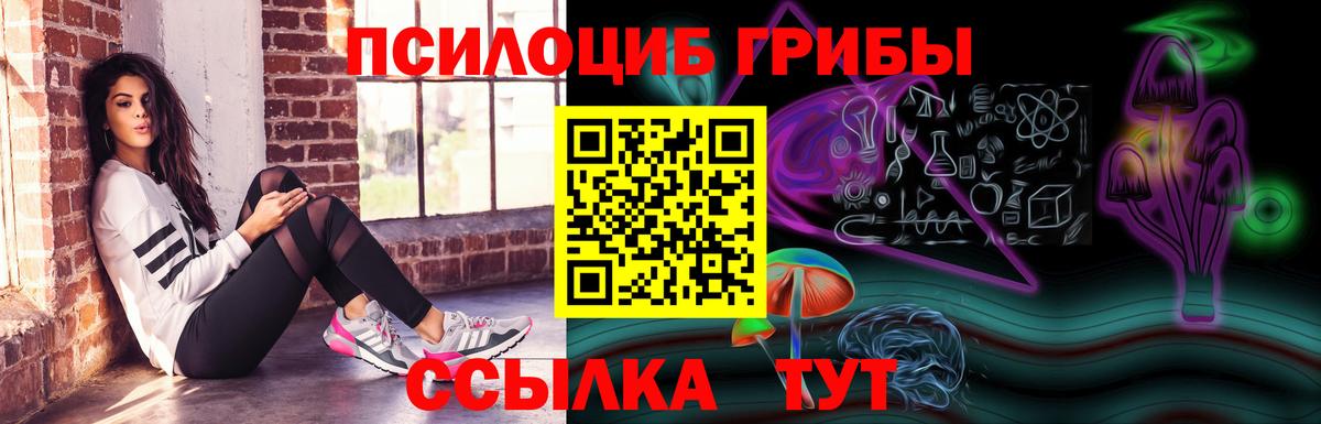 Псилоцибиновые грибы GOLDEN TEACHER  где найти   Тимашёвск  Вход с VPN 